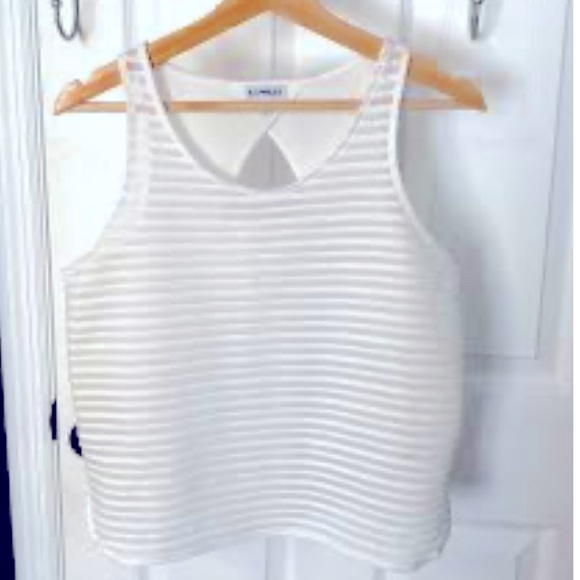 Express Tops Express Ribbed Semi Sheer Sleeveless Crop Top Nwot